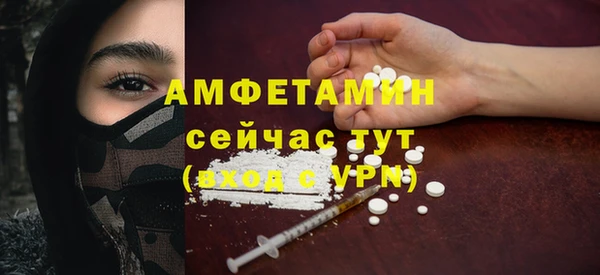прущие грибы Нефтекумск