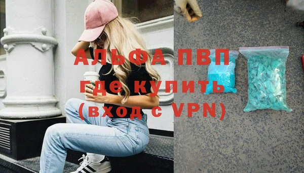 прущие грибы Нефтекумск