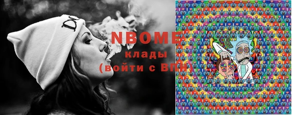 прущие грибы Нефтекумск