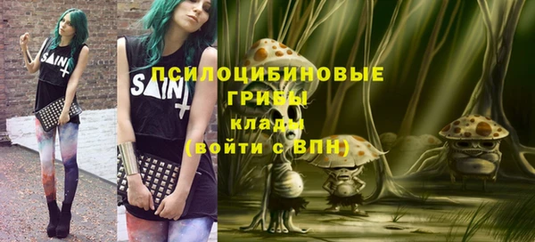 ГАЛЛЮЦИНОГЕННЫЕ ГРИБЫ Нефтегорск