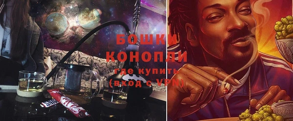 ГАЛЛЮЦИНОГЕННЫЕ ГРИБЫ Нефтегорск